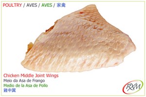 aves,07,middle joint wings, meio da asa